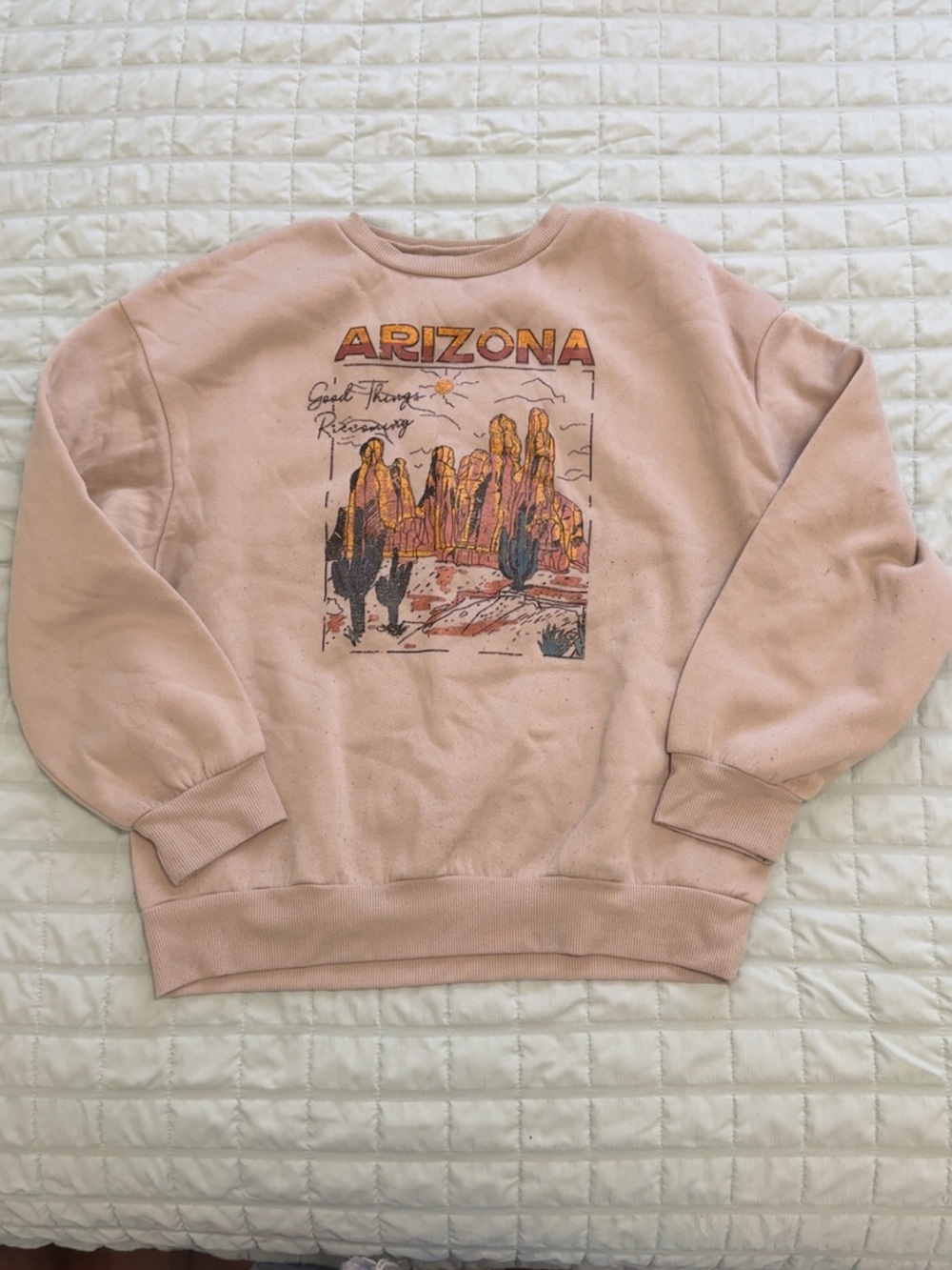 SHEIN Cozy Fleece Hoodie in Beige